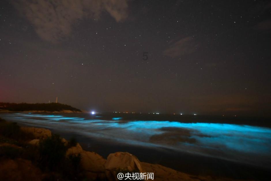 学习插花艺术
