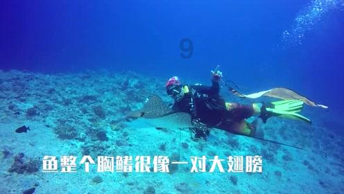 奥利维亚药店